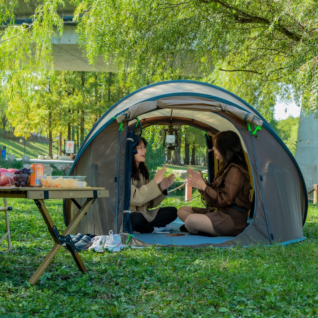 Outdoor Single-Layer Automatic Quick-Open Camping Tent